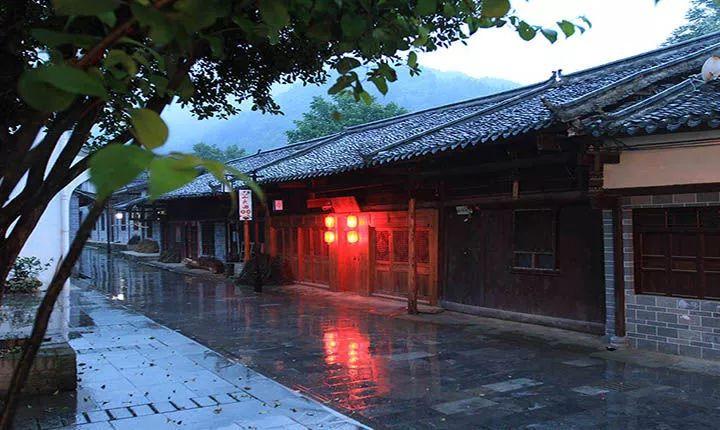 茂密丛林逃生